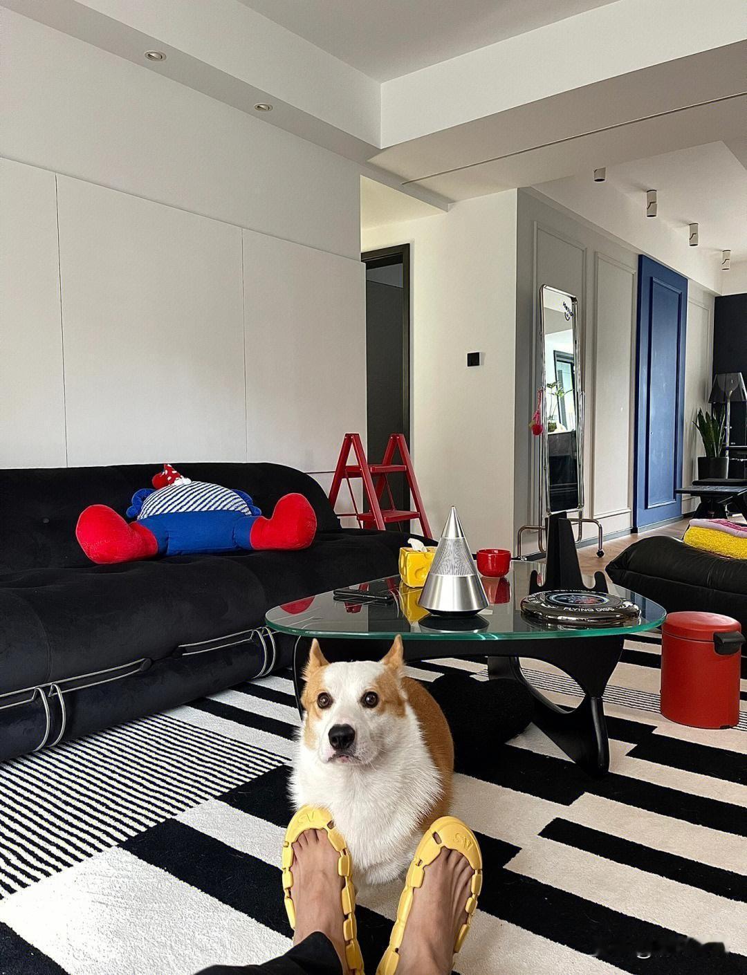 我怎么感觉现在走向加速衰老的阶段呢？
我83年的，属猪的，43岁了，
我现在越来