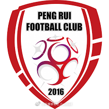 蛮多人在看通州鹏瑞的热闹，甚至看到有蓝皮也去看通州的比赛了。我看着看着感觉这个队