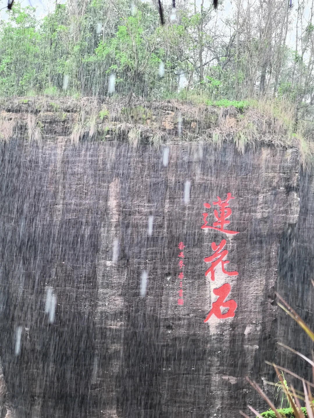 广州莲花山🪷｜赏雨实况
