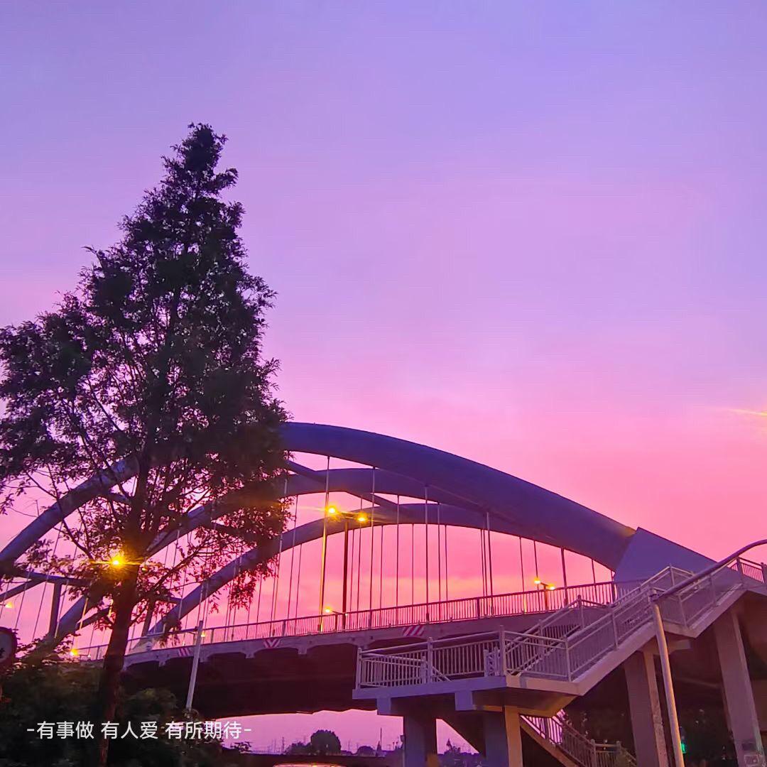 我与旧事归于尽，来年依旧迎花开