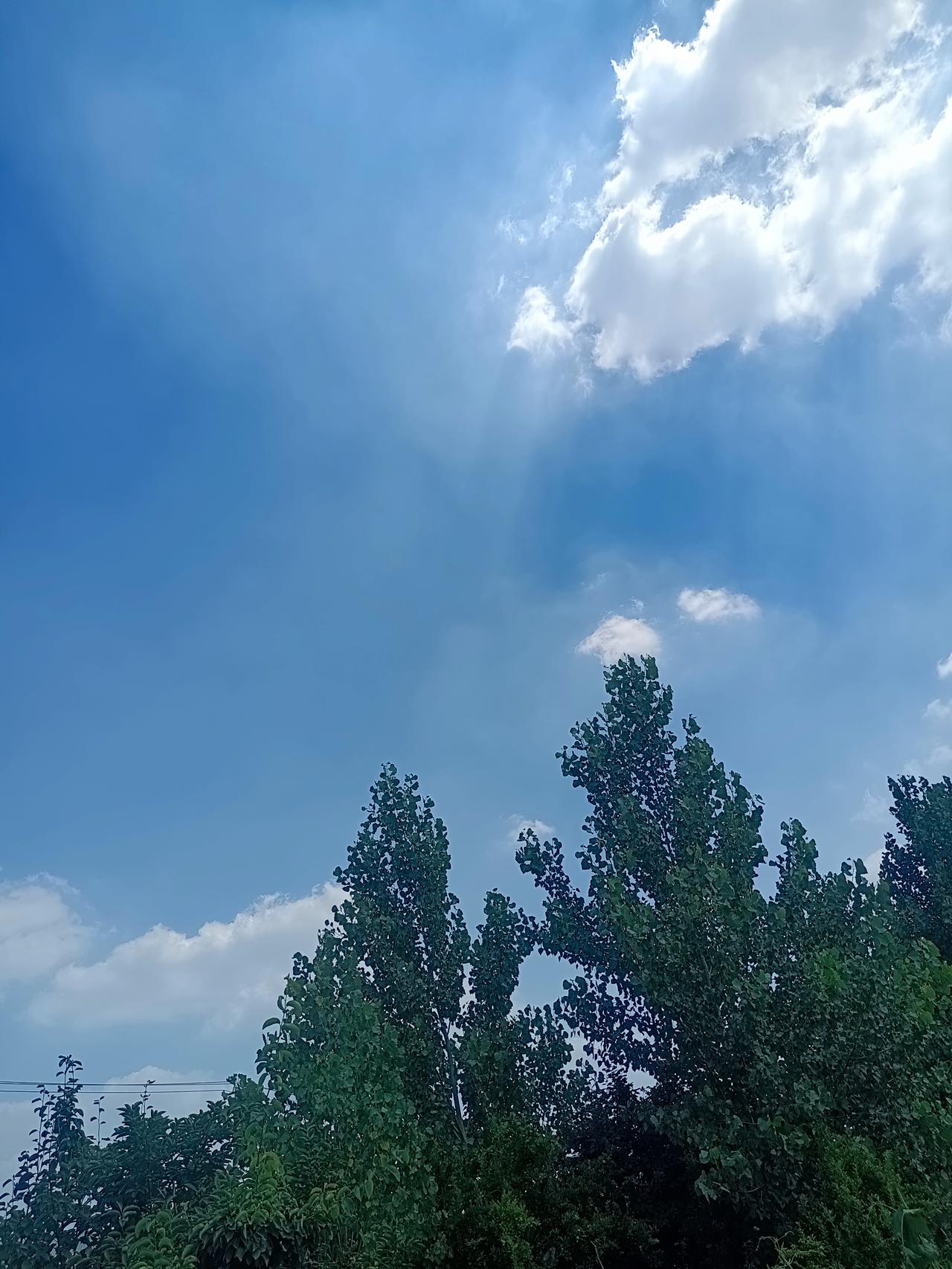 有位网友说：“美色在底层是稀缺品，而在顶层只是日用品。同一件东西，在不同阶层的人
