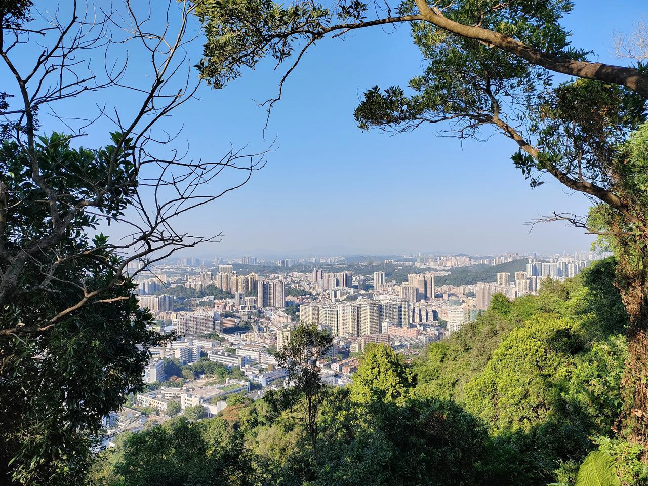 思路不错，方向很对，措施不够哦，深圳应该承担的一项历史使命[作揖][作揖][作揖