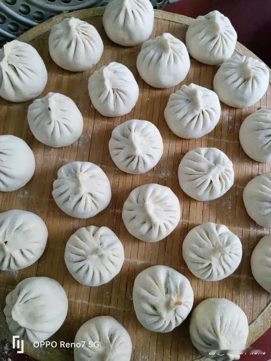 我是北方人，最爱吃饺子，尤其是猪肉馅的饺子，猪肉配什么都好吃。韭菜，白菜，青椒，