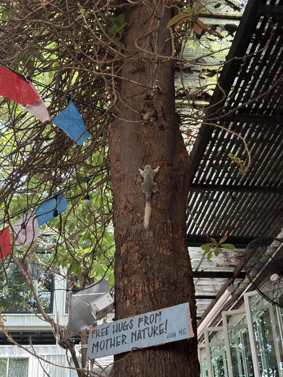谁懂回头看到free hugs from mother nature就...