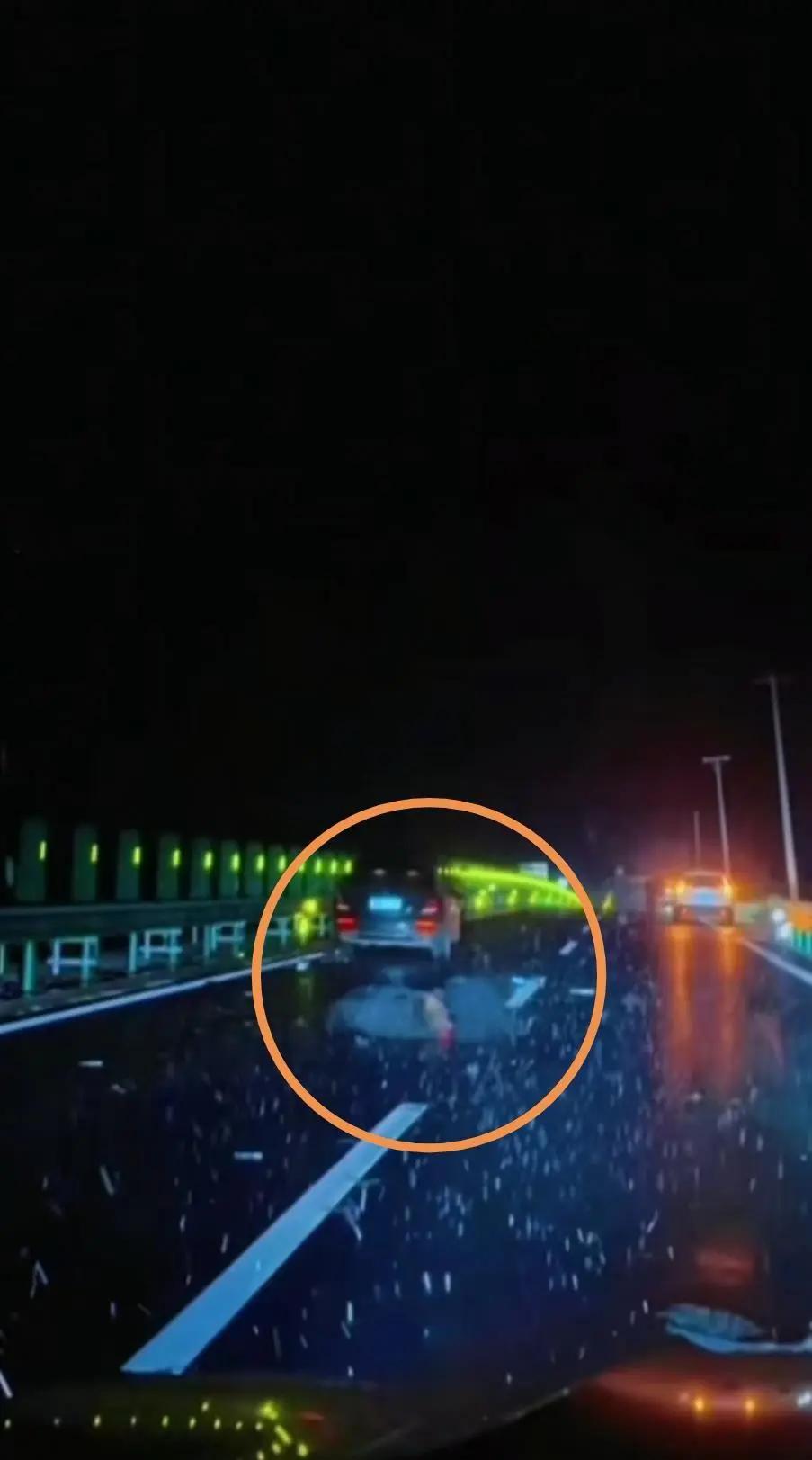 吉林女子驾车不慎撞死一头黑熊，交警称驾驶员没事且不予以处罚，律师：意外撞死野生保