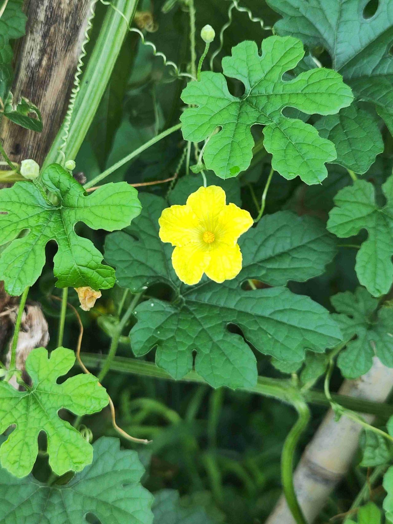 我的今日状态：🏃‍➡️运动
我这里的天气：🌈雨过天晴

2-3天中到大雨，今