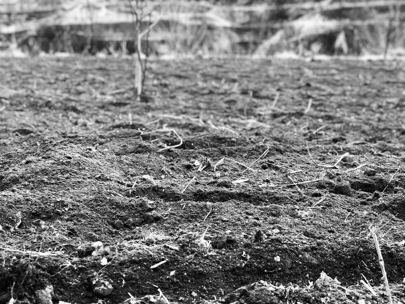 连农民都知道的最基本的道理，一块农田里面如果是一棵庄稼出了问题，那可能是个例，如