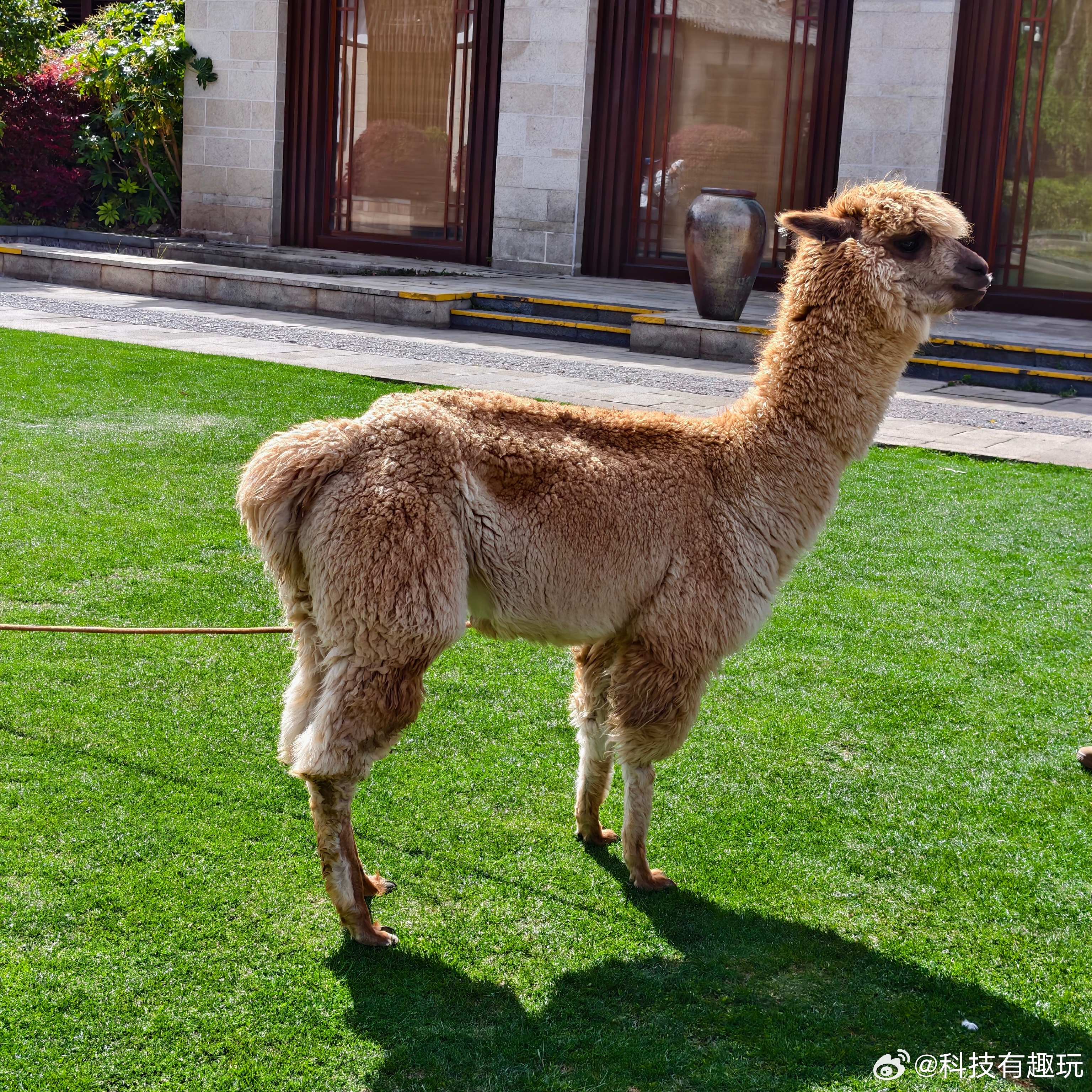 早安，忙碌的一周开始啦