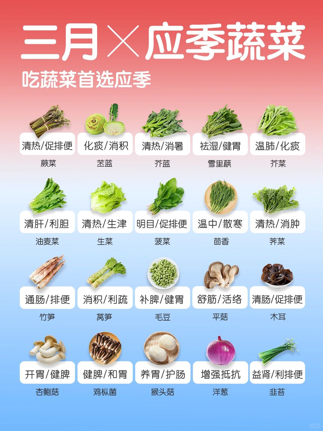 3 🈷️应季蔬菜速查👆 ｜吃蔬菜首选应季🥬