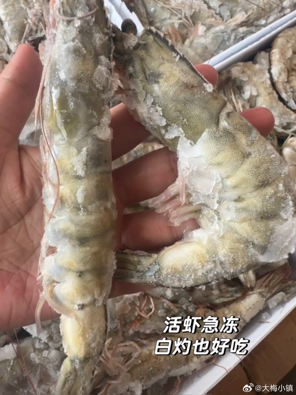 天热也能买大虾！顺丰冷链包邮到家！加厚保温箱，隔热袋，干冰湿冰全加量白灼也好吃的