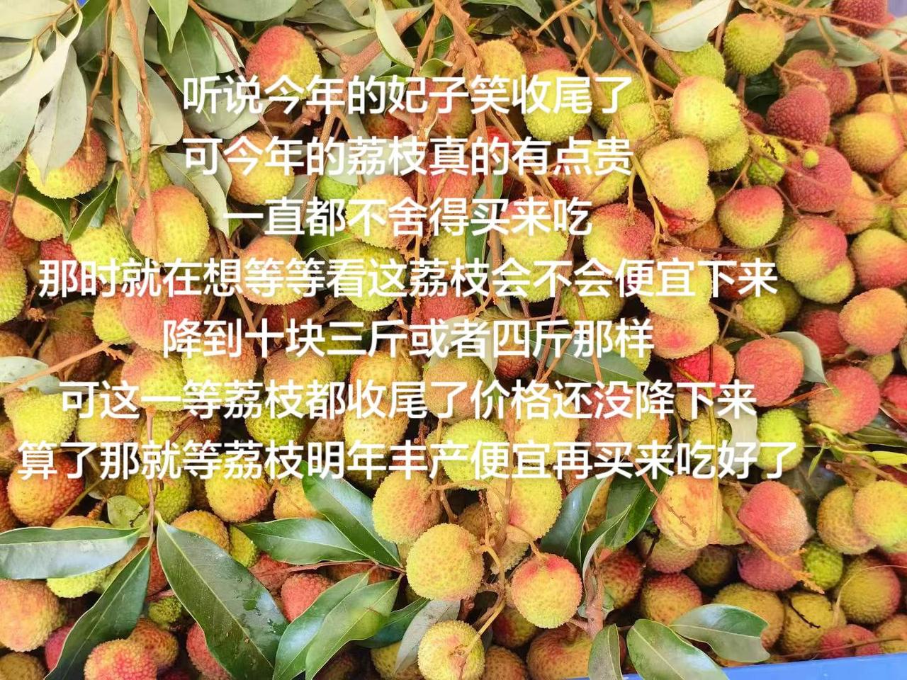 听说今年的妃子笑收尾了
可今年的荔枝真的有点贵
一直都不舍得买来吃
那时就在想等
