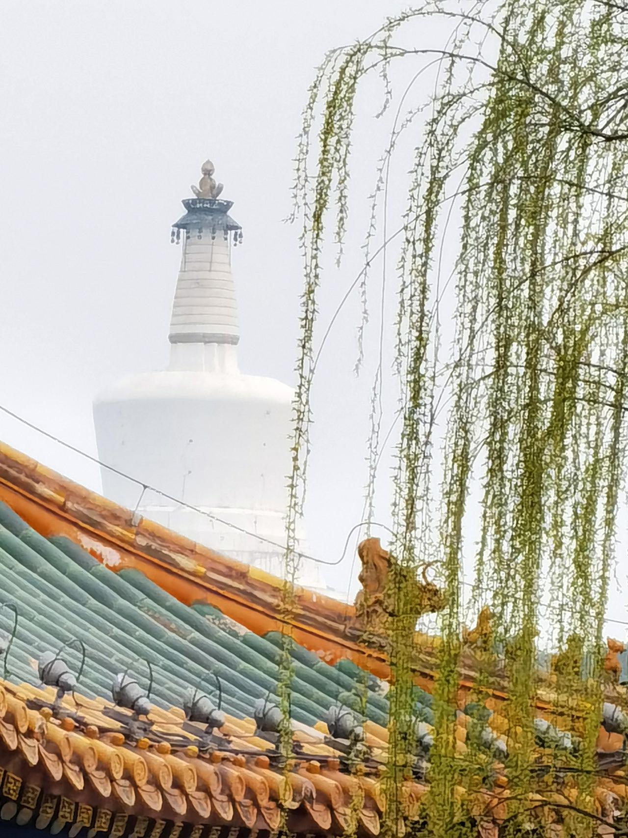 五元钱看尽北京北海公园春花烂漫，真的超值。

北京迎来了一年最美的季节，各种春花