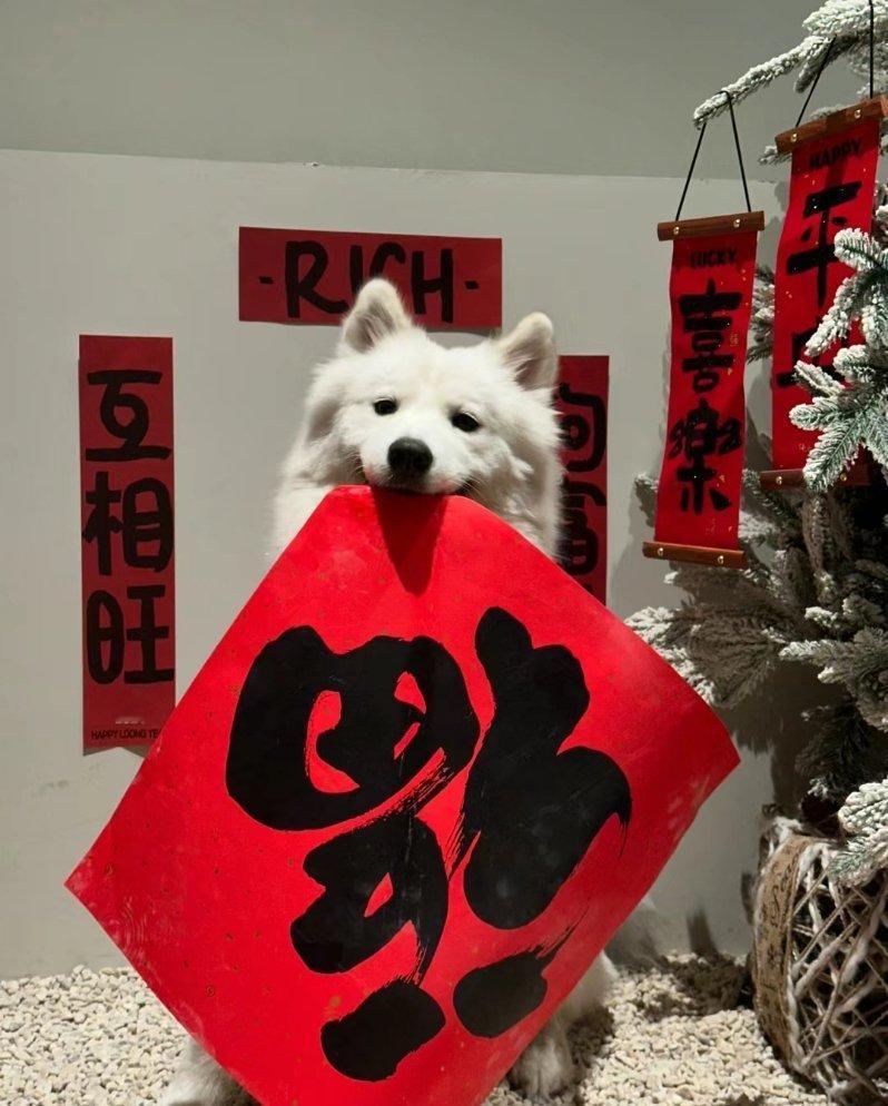 风是风 花是花 无风花自在 无花风自由 一场风花逅 风仍是风花已不成花 . ​​