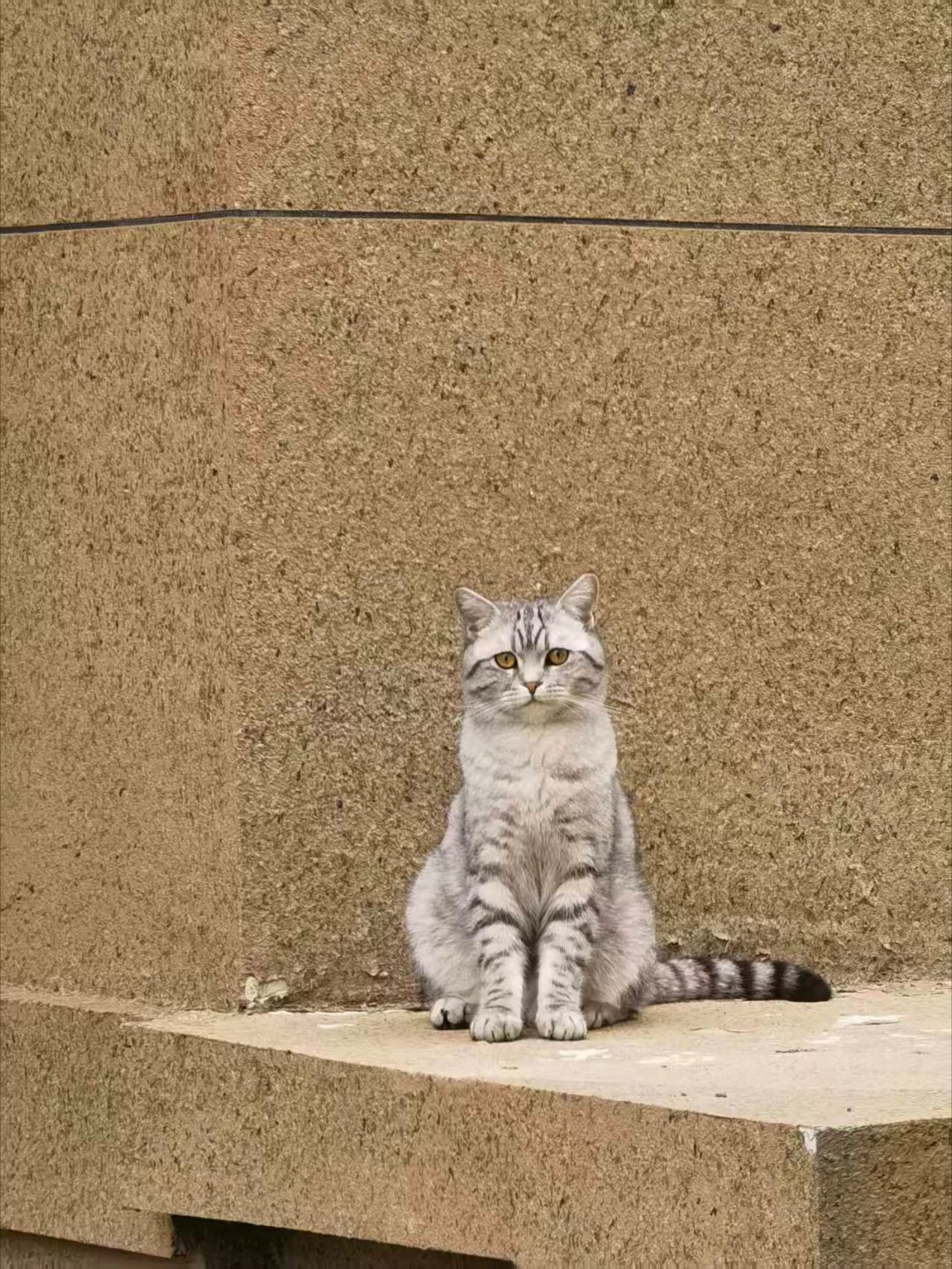 *碎碎念*天儿真的热了，高领绒打底穿不住，换了无领长袖，抓绒换成格子衬衫，我俩几