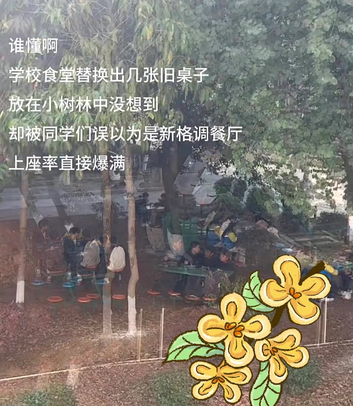 像是大学生会干出来的事儿 ​​​