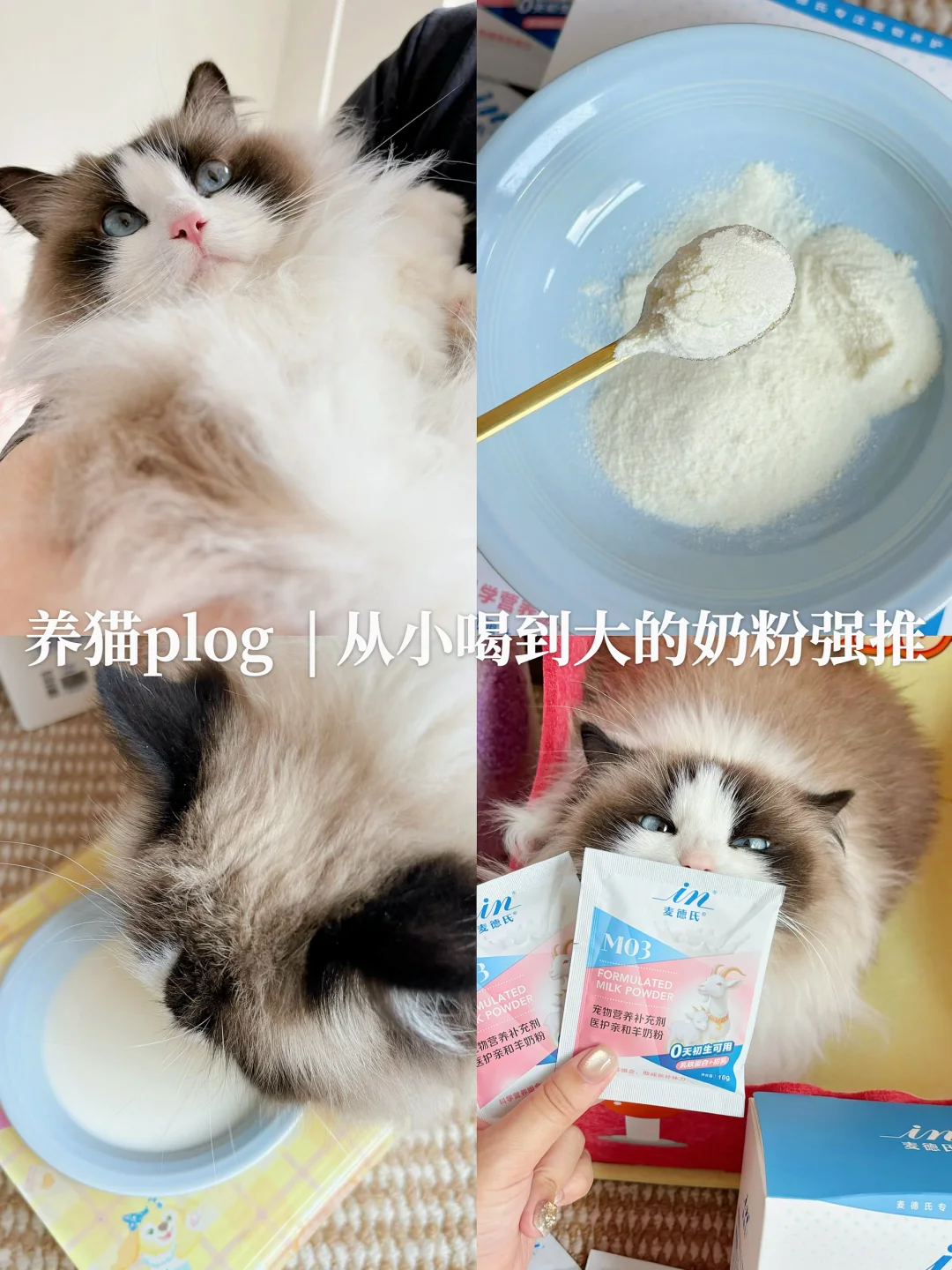🥟蛋糕从小喝到大的奶粉强推！