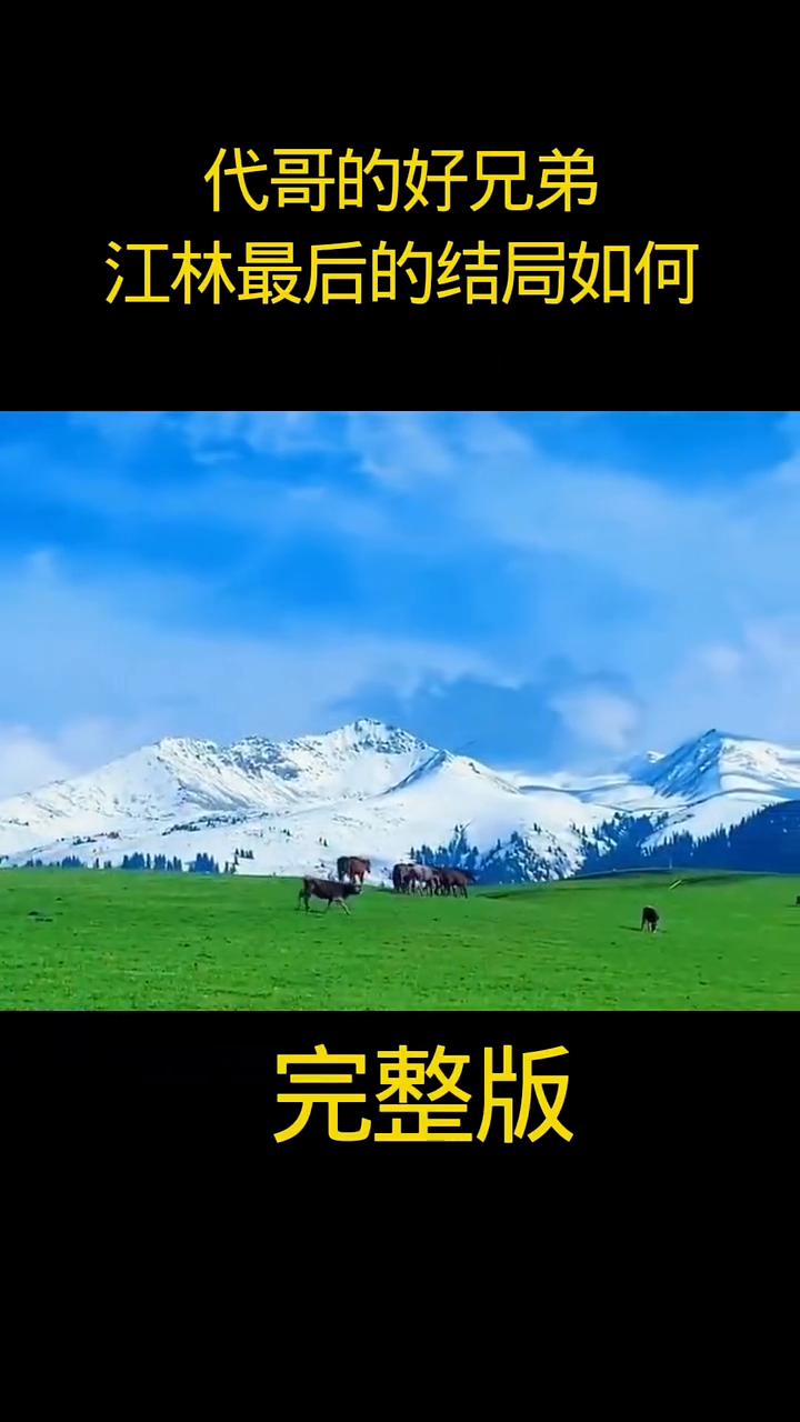 代哥的好兄弟江林最后的结局如何？完整版。
深圳帮核心人物江林的最终命运是怎样的？