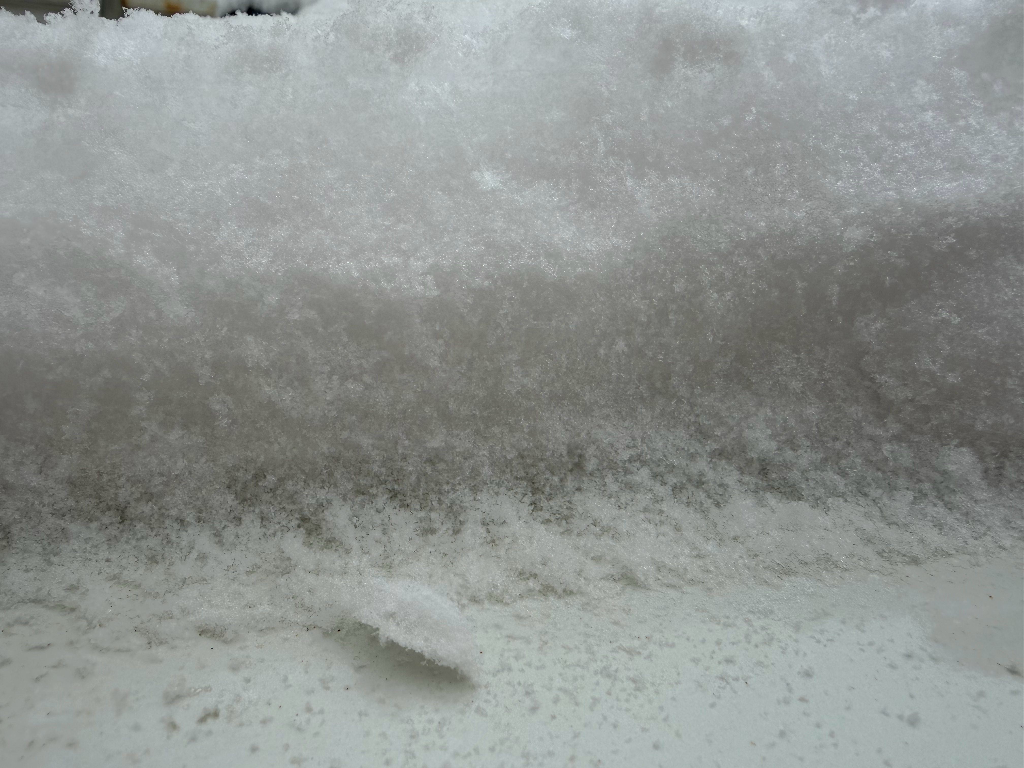 雪竟然下的如此之大❄️ 