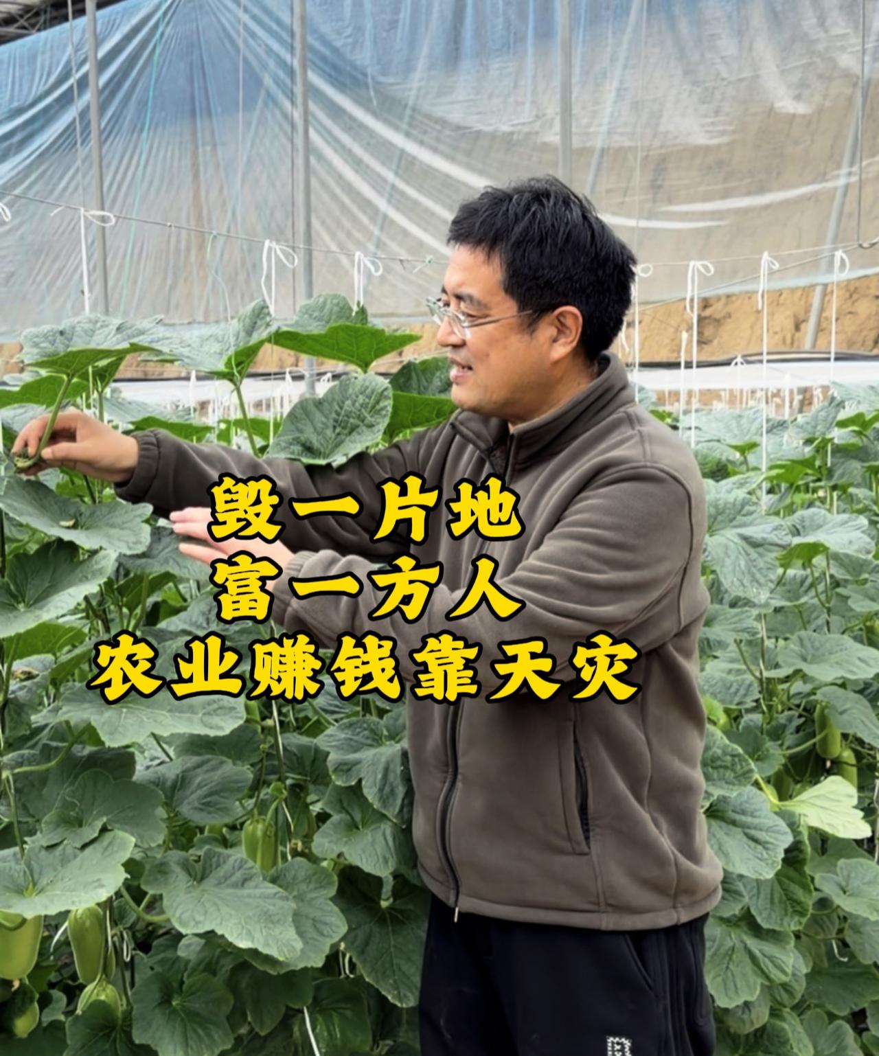 农业赚钱靠天灾，毁一片地就能富一方人

身在农业圈久了，才看透一个最扎心、最现实