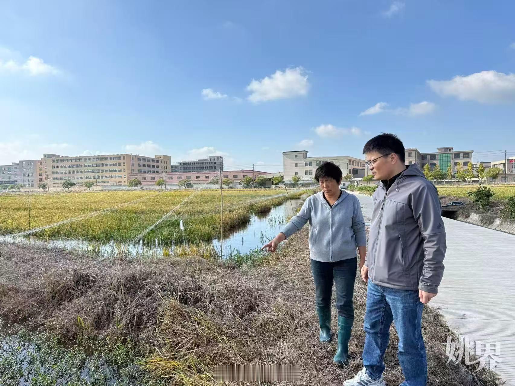 余姚马建波扎根田间塘头14年荣获全国五一奖章 余姚水产技术专家马建波扎根田间塘头