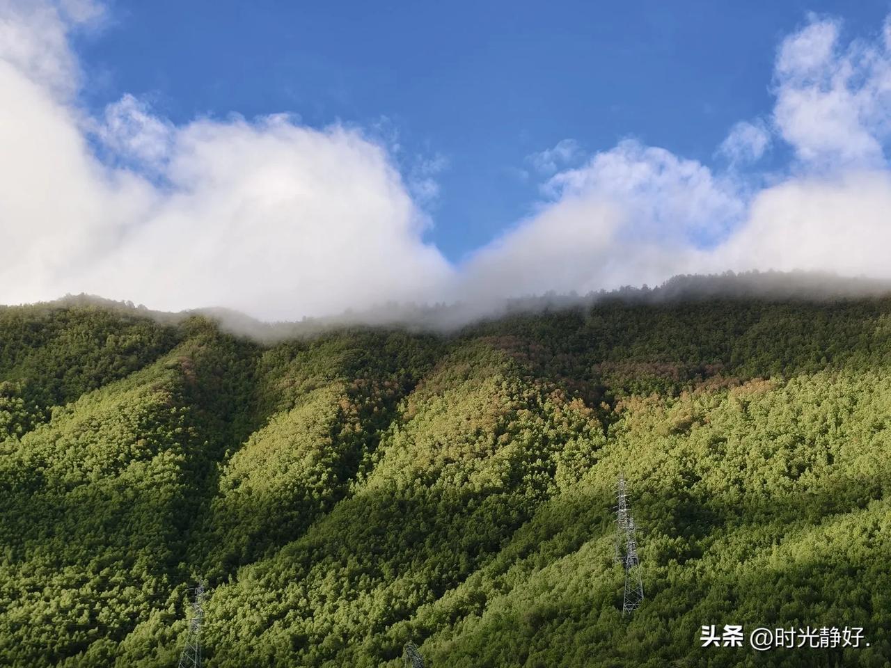 想摘一片林芝的云  5.24

昨晚，在林芝工布江达服务区驻车。早上起来，在与去