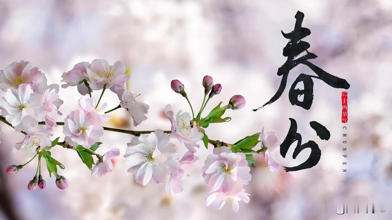 【十楼杂记】春分
春分昼夜平，耕田趁雨声。
新雷杨柳绿，风暖草木青。

春分，又