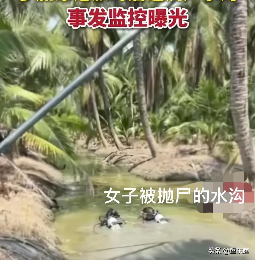 34岁安徽女子的遗体就是在这片水沟被发现的！泰国警方给出的结论是她在2月23日凌