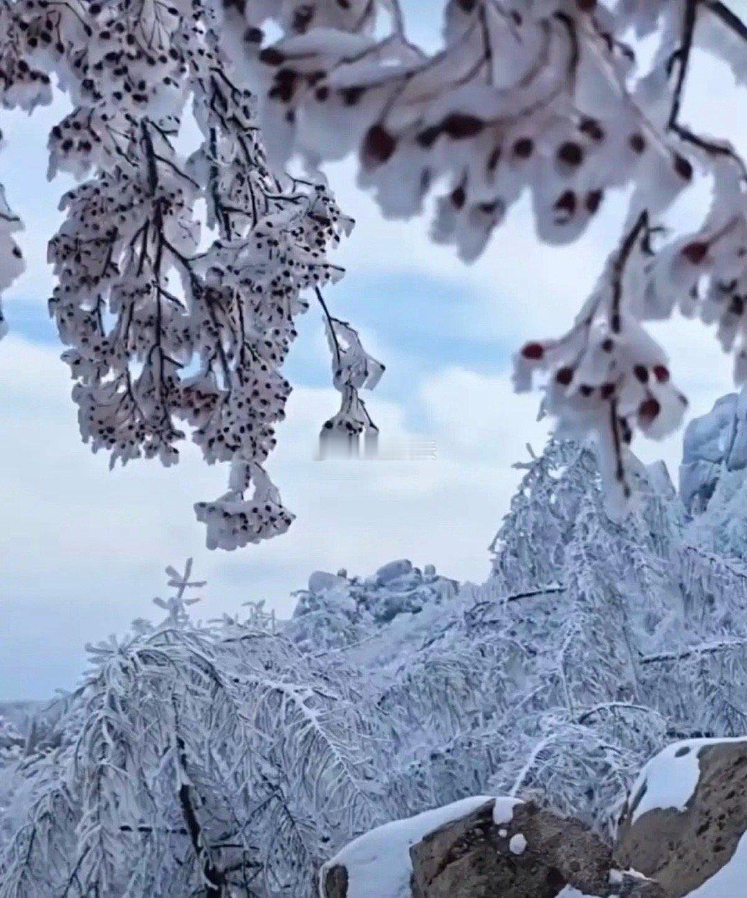 半导体洁净室概念梳理半导体洁净室是芯片制造的核心基础设施，需将空间内微粒、有害气