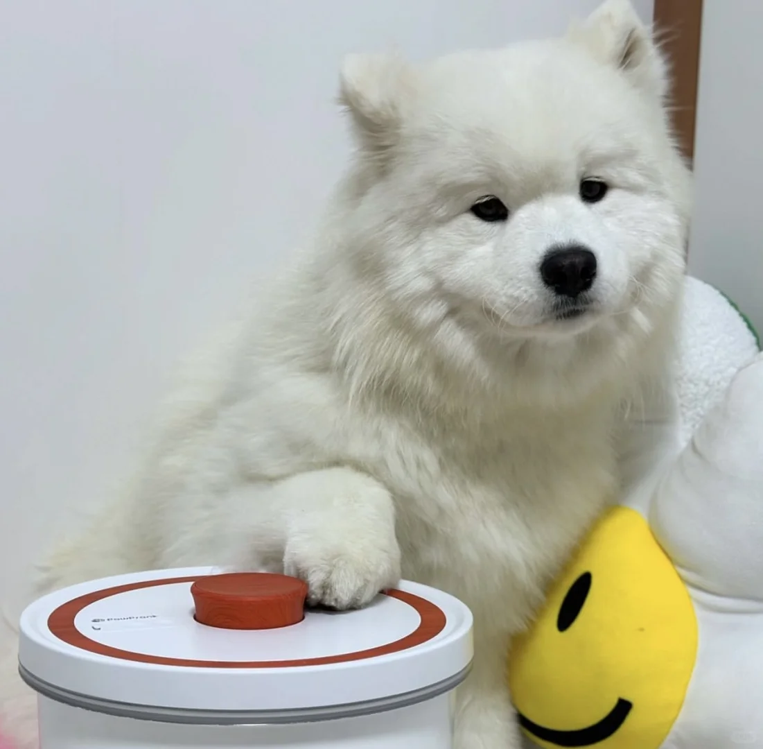 这个动作就说明孩子该吃饭了