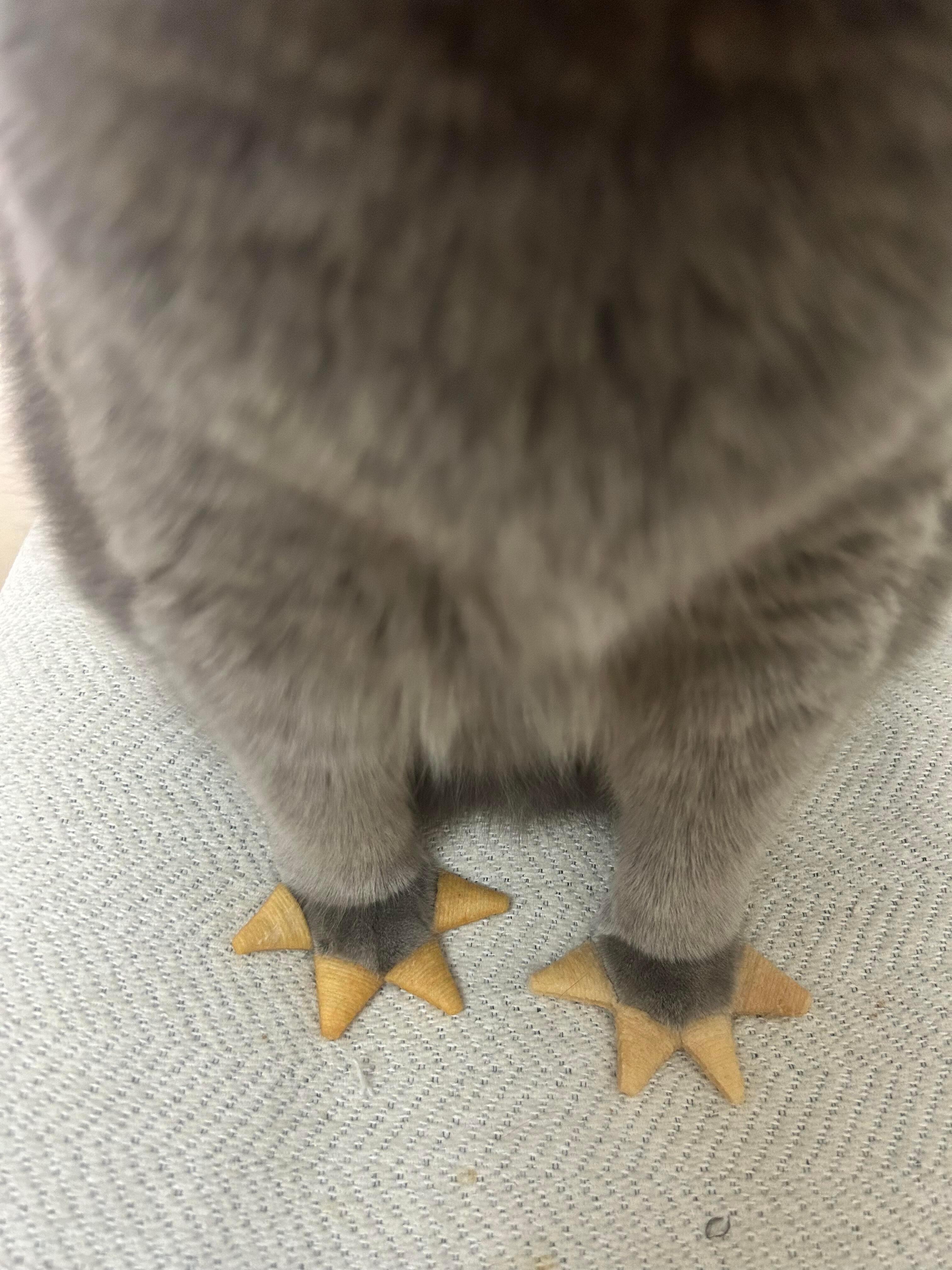 不告诉它 它能自己发现吗 