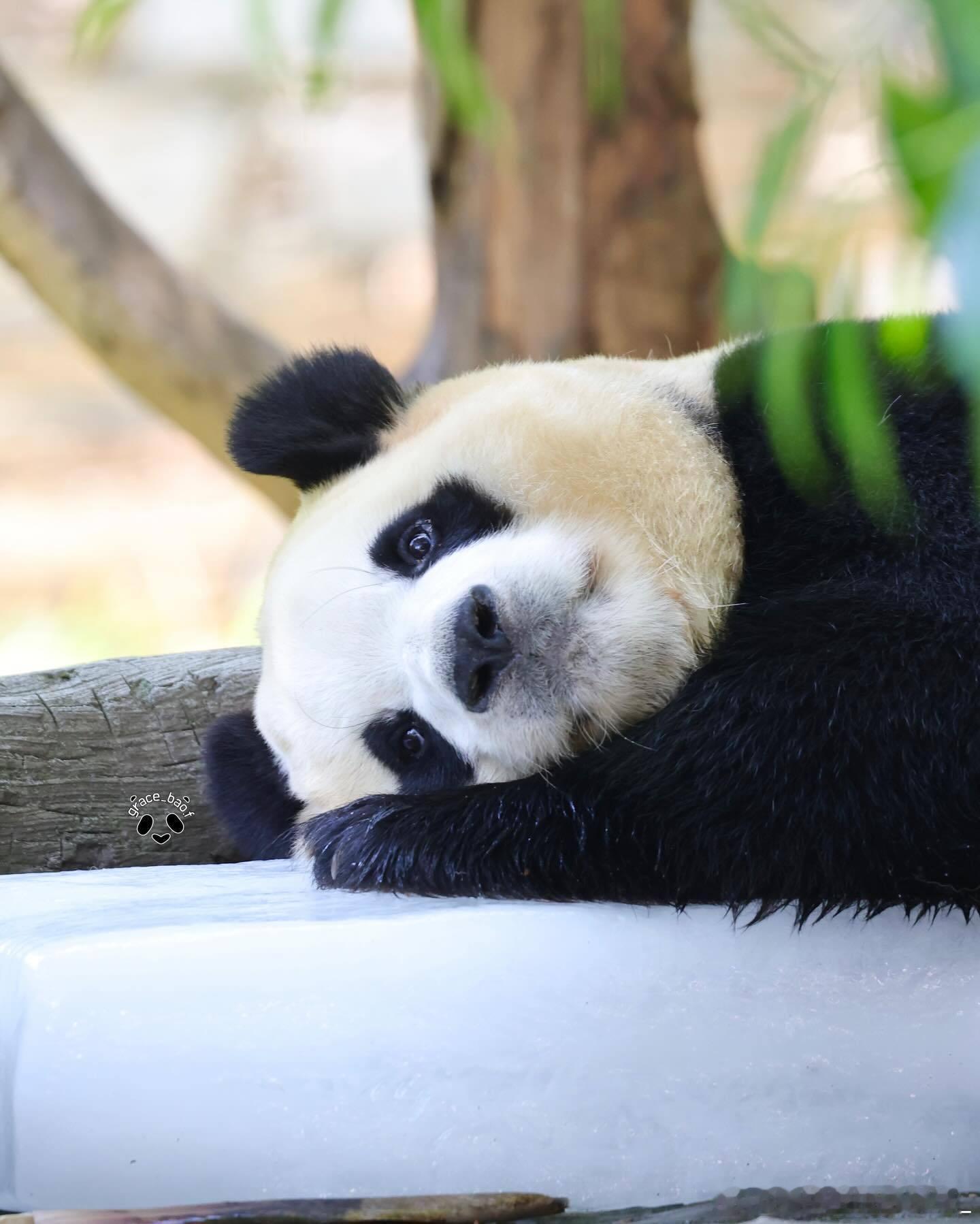 每天早起打卡早安安～ 