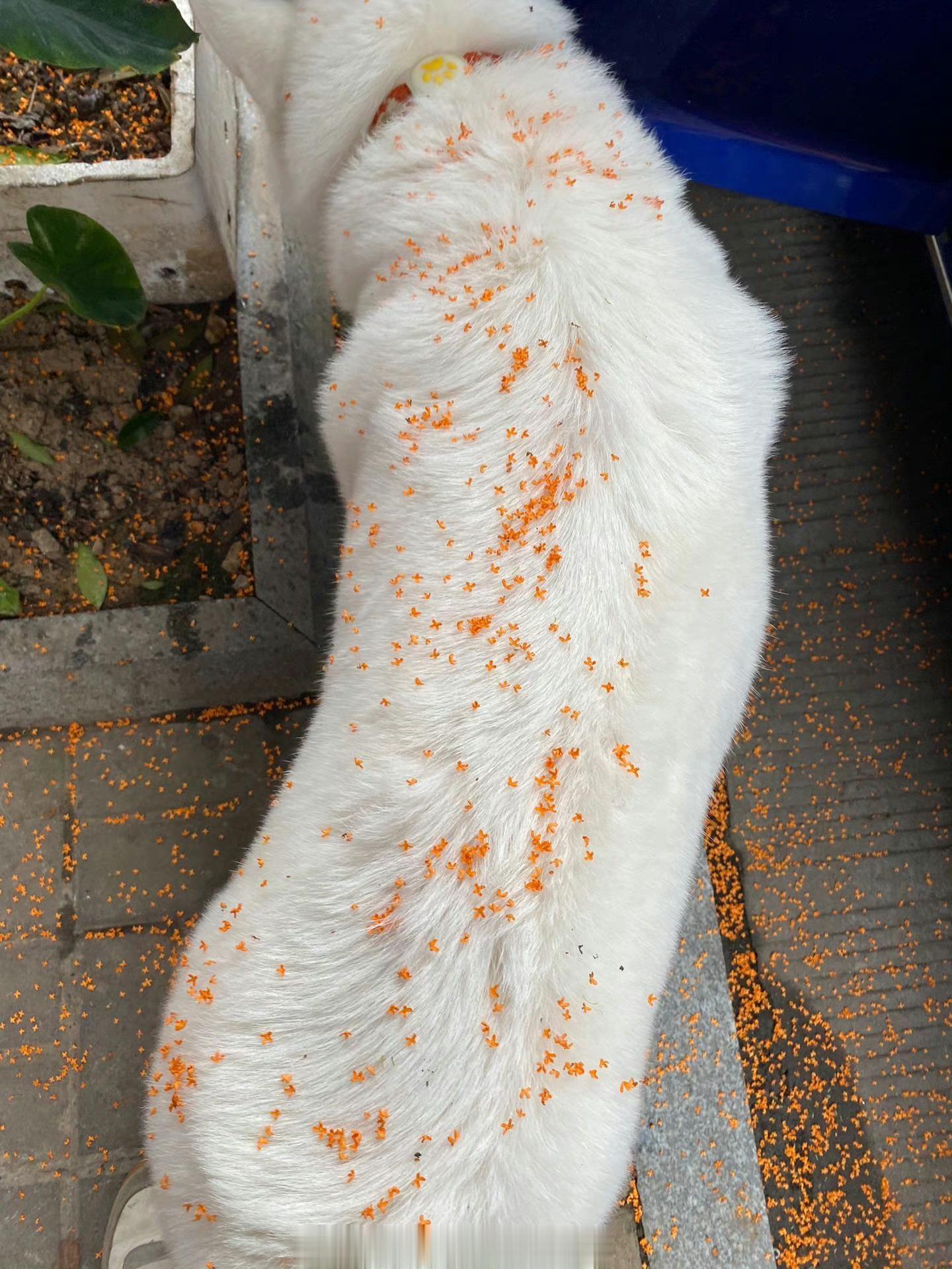 新鲜^_^  ​​​