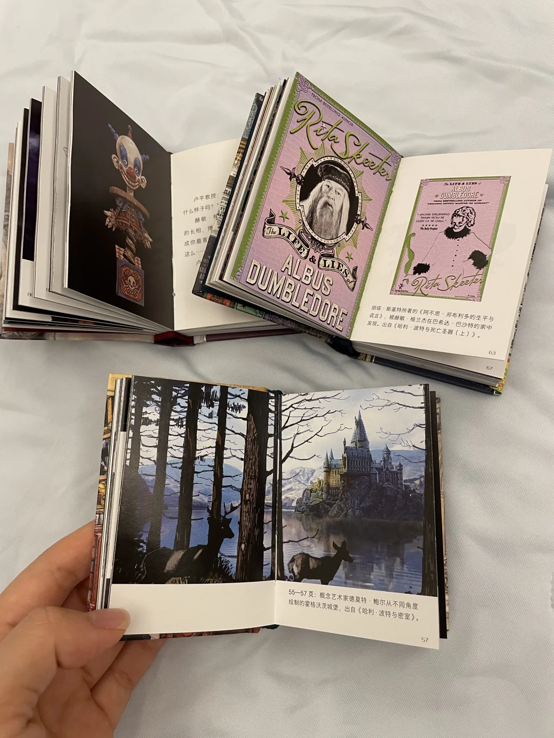 🌟救命！这套哈利波特迷你书也太绝了吧！哈迷