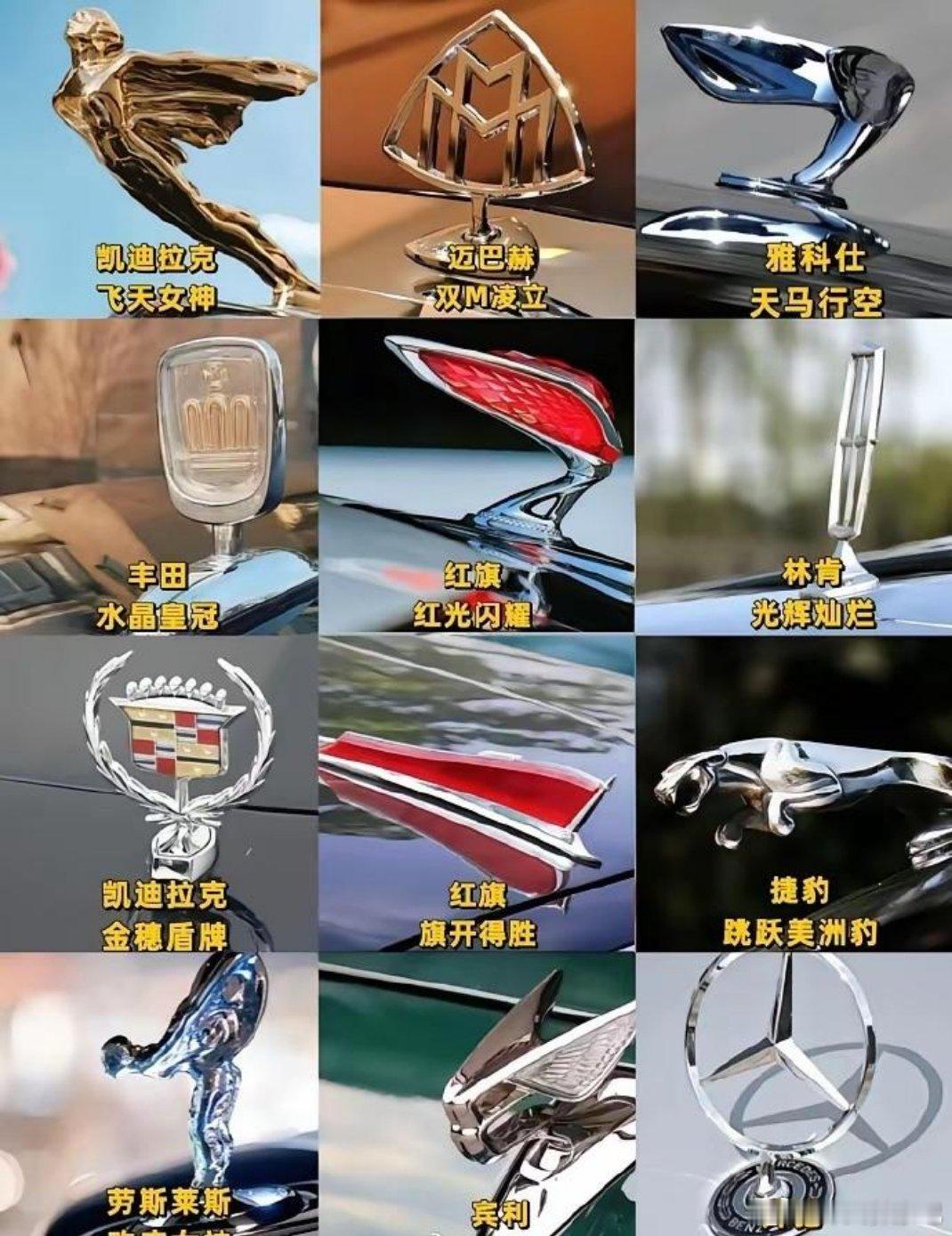 各个品牌的立标 你们觉得哪个气质最好？