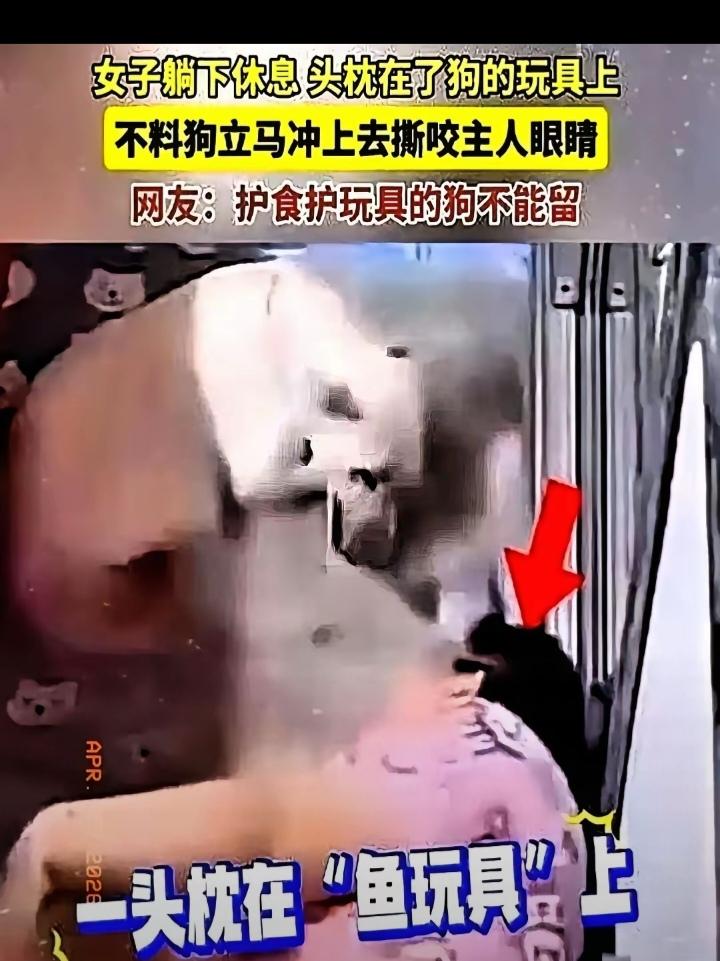 畜生永远是畜生!黑龙江一女子躺下休息，头枕在了狗的玩具上，没想到狗扑到主人的脸上