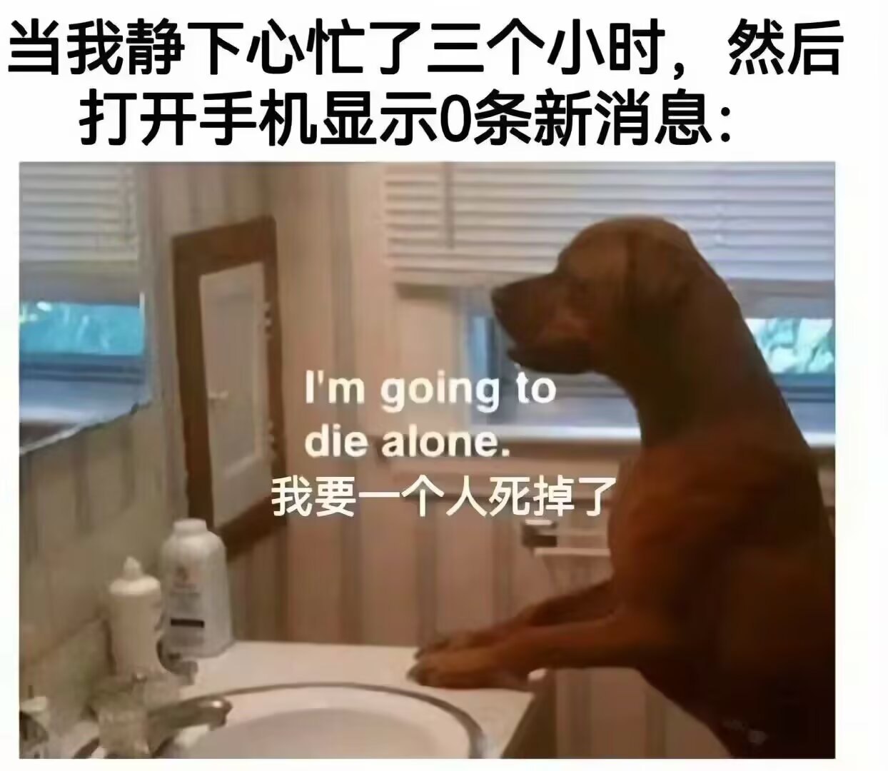 孤独。 