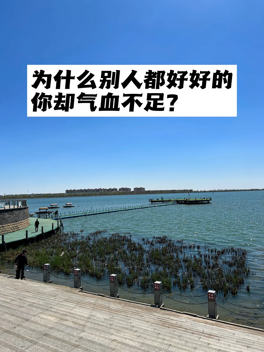 为什么别人都好好的，你却气血不足？
