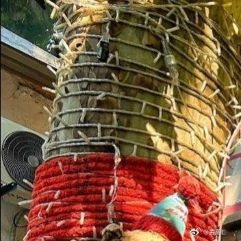 每日一善晚安帅哥一起保护大自然 与社会携手做公益 关爱唇腭裂儿童 关心小动物的生