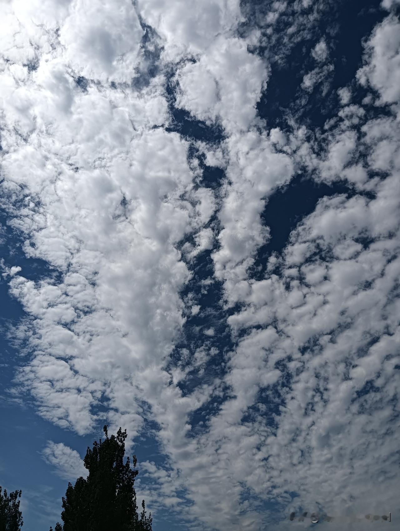 分享一下你随手拍下的蓝天白云风轻云淡，秋高气爽，太美了吧！