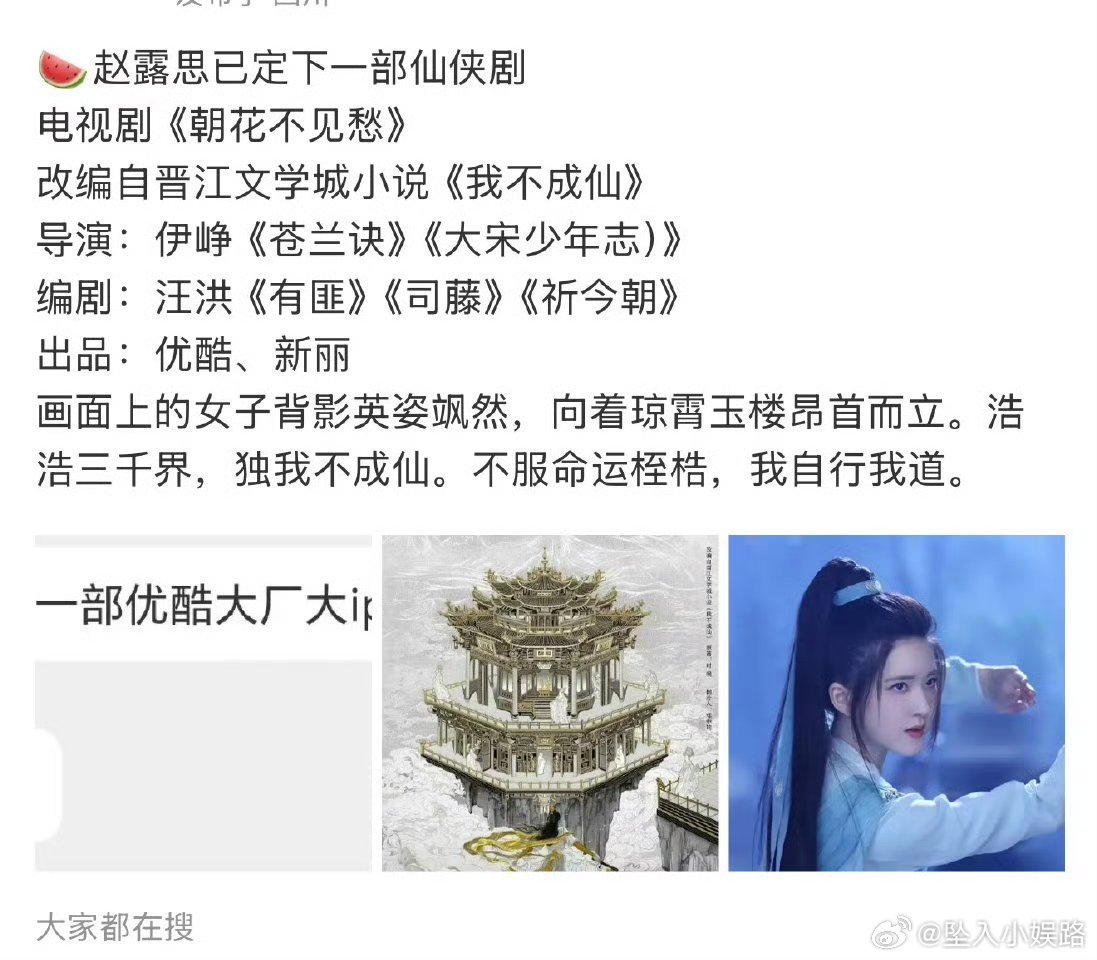 有🍉赵露思下部剧朝花不见愁 