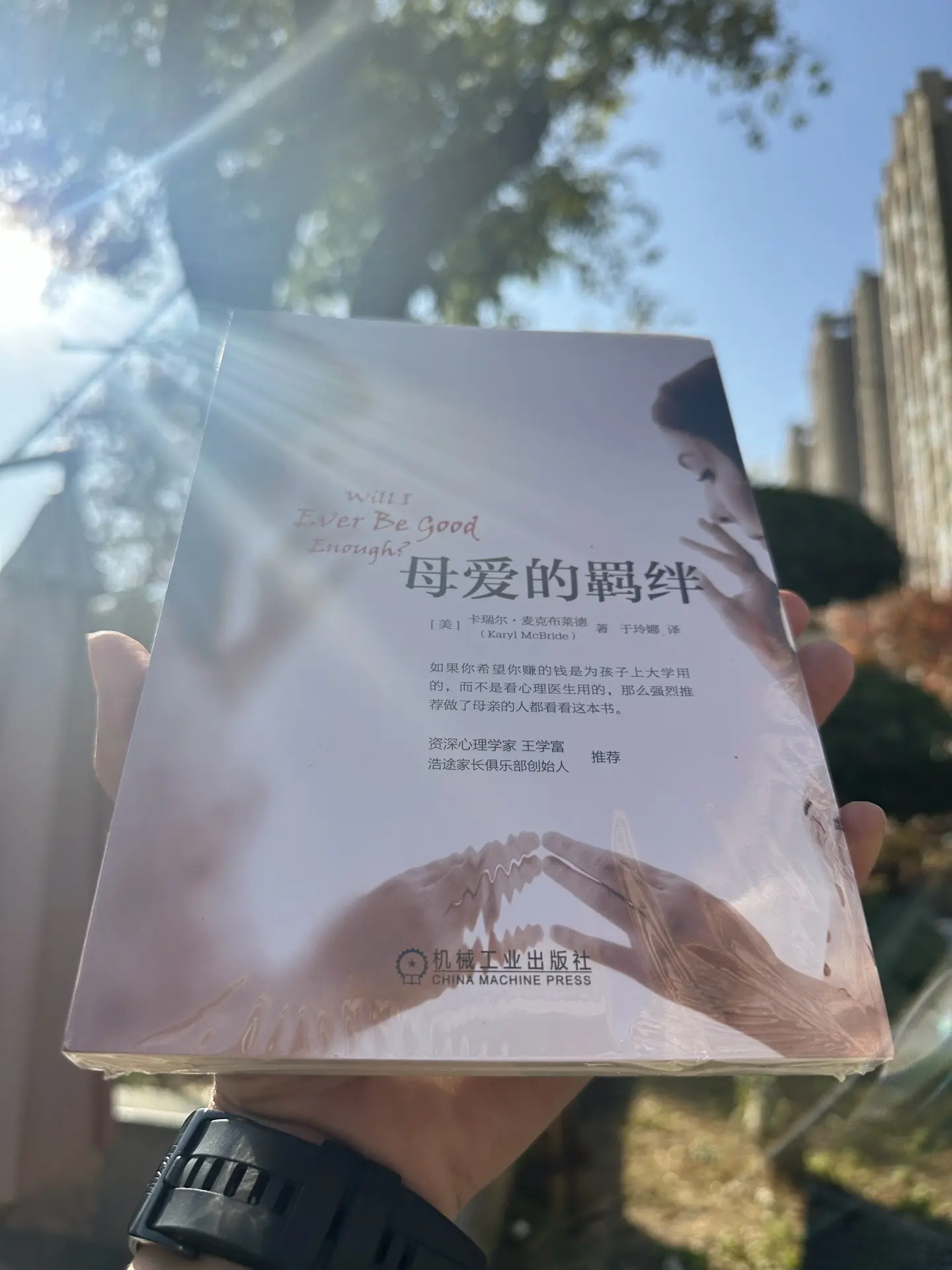 母爱的羁绊 …