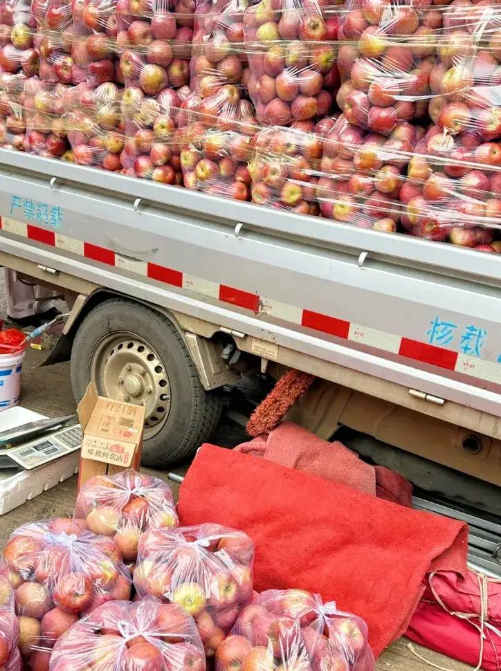 苹果丰收，本来很欢喜，我信心满满装了一车进城售卖，天还没有亮就来了，早上买菜路过