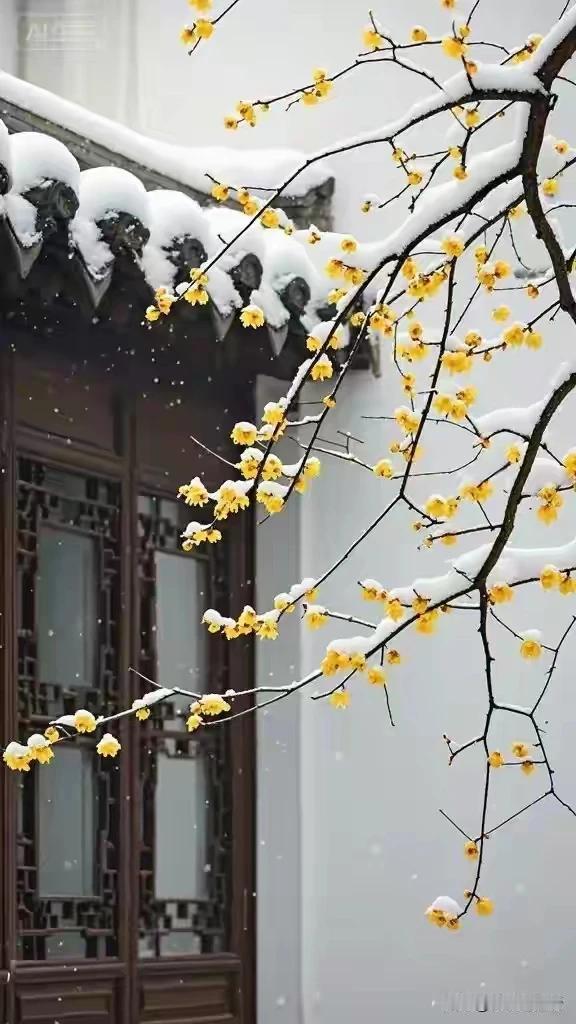 墙角数枝梅，凌寒独自开。
遥知不是雪，为有暗香来。