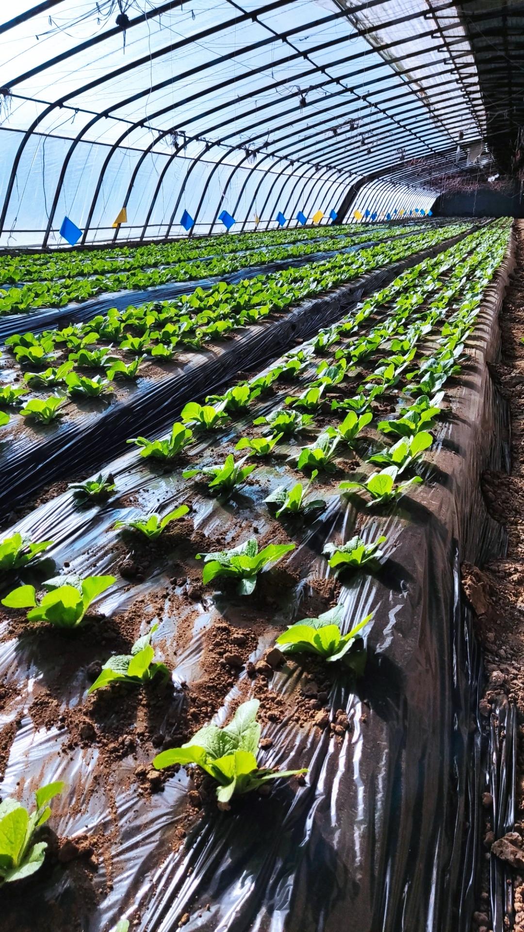 晒图笔记大赛新年新气象～