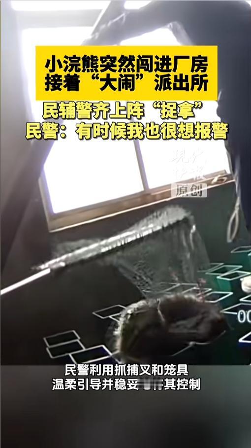 “笑不活了！”近日，江苏泰州，民警接到报警称，辖区一工厂里闯进了一只不明动物。民