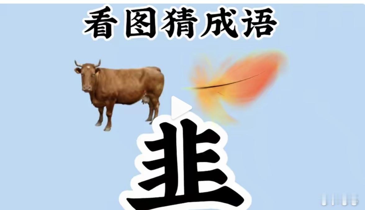 趣味看图猜成语再度来袭✨
图中有牛、羽毛，还有一个汉字。提示：从谐音方面思考！