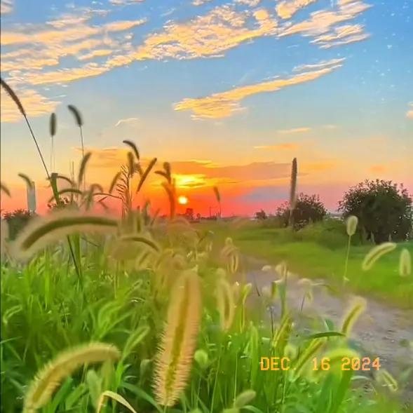 周一打卡，今天看了琼瑶的作品。让我的内心感到无比的伤感。人活着到底是为了什么？在