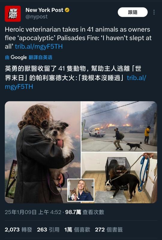 美国所谓的人权都是假把式，人命没有狗猫贵