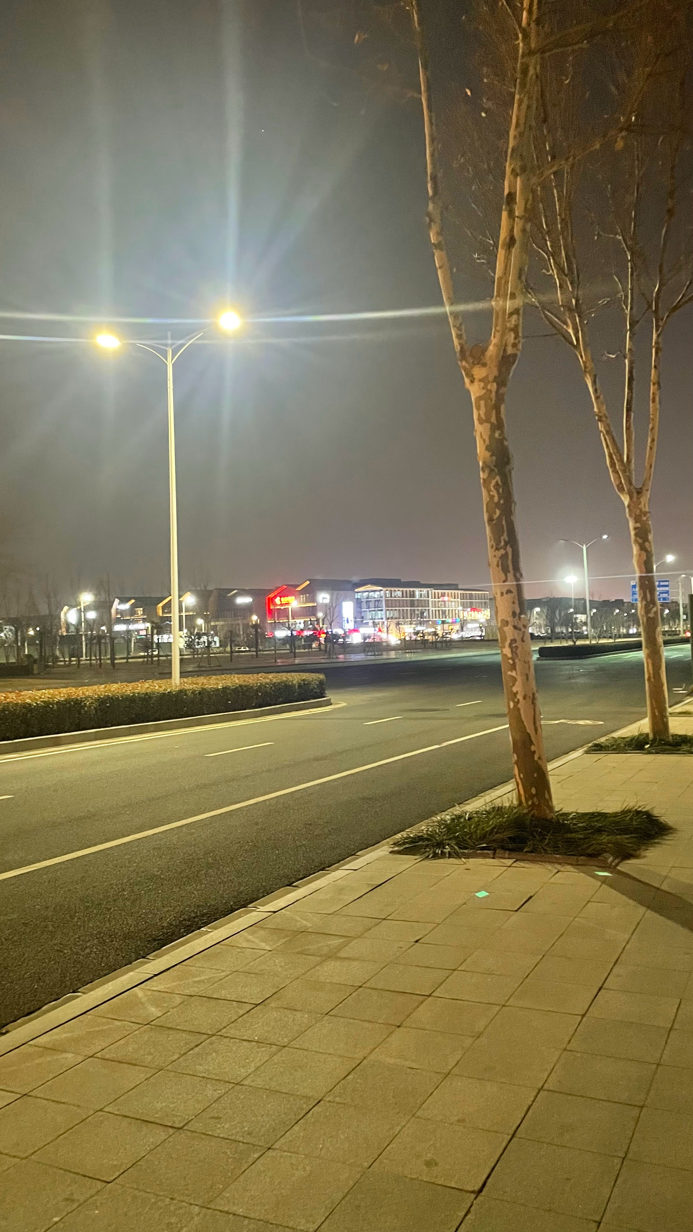 经历过了风霜雪雨的一段路承载的都是满满的欢喜 