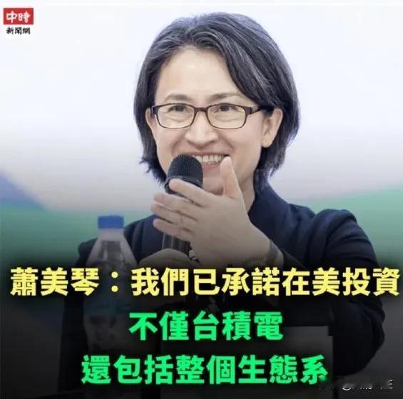 萧美琴火了，火的一塌糊涂

作为台当局的副领导人，萧美琴当着全世界的面做出承诺，